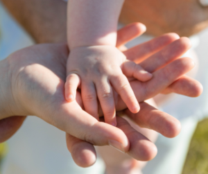 co-éducation parents professionnels