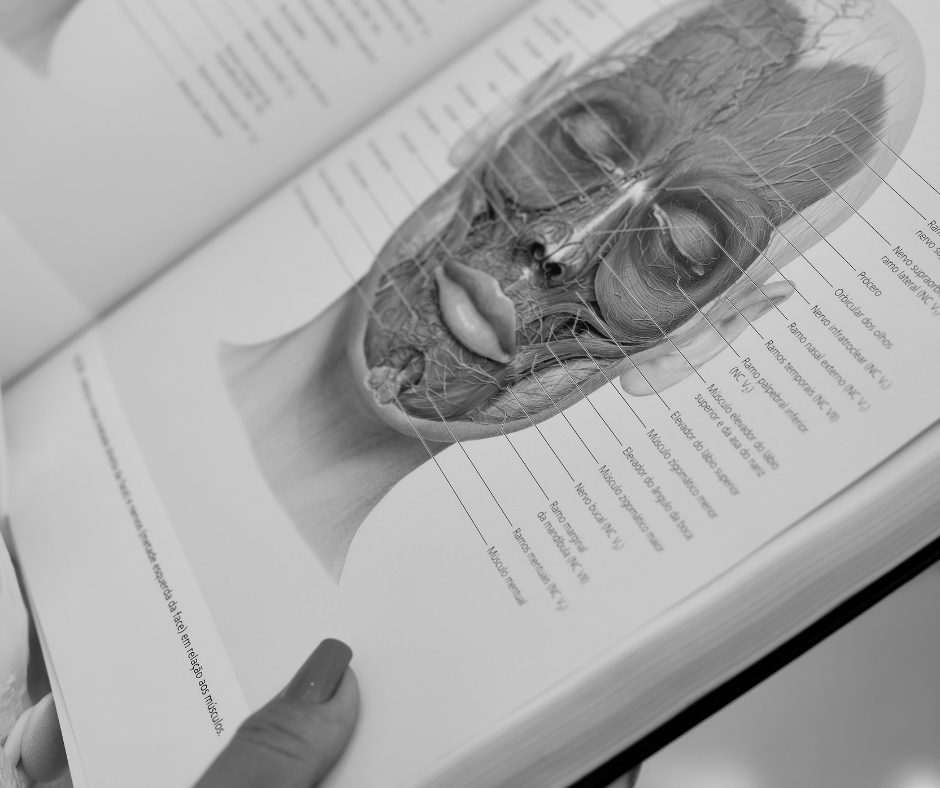 formation neurosciences